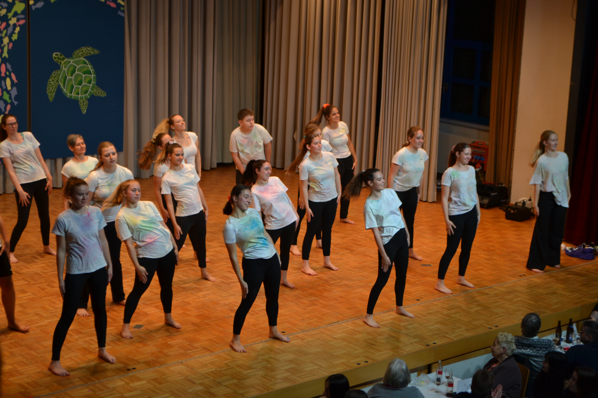 Bild2 (157)